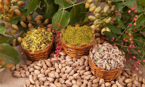 تصویر 4 از خرید و قیمت پسته درجه یک احمد صادراتی + فروش عمده